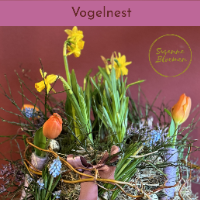 Vogelnest